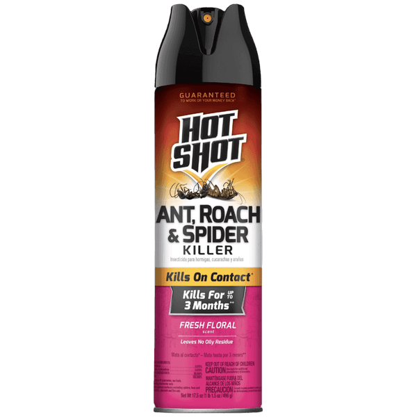 coupon product image 