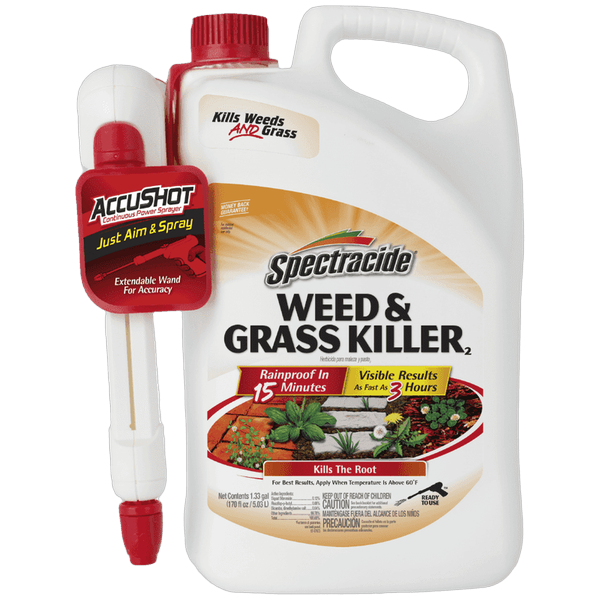 coupon product image 