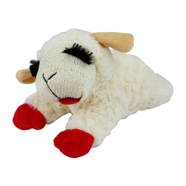 coupon product image 