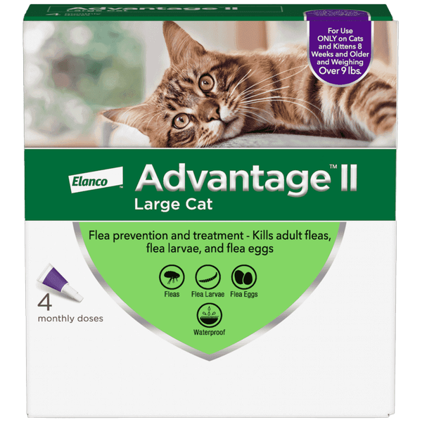 coupon product image 